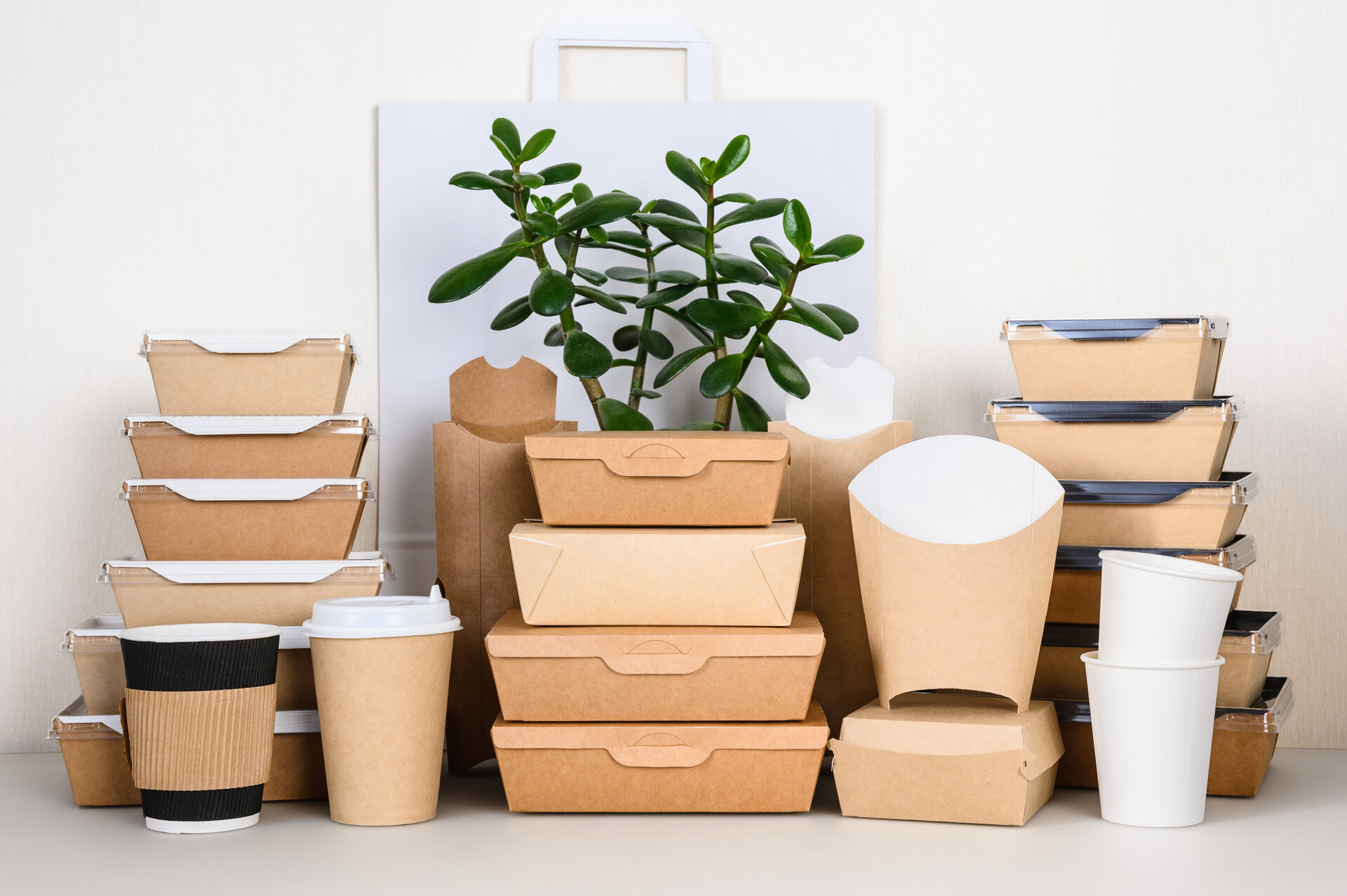 Eine Reihe von umweltfreundlichen Einwegverpackungen für Lebensmittel aus Papier und Karton.