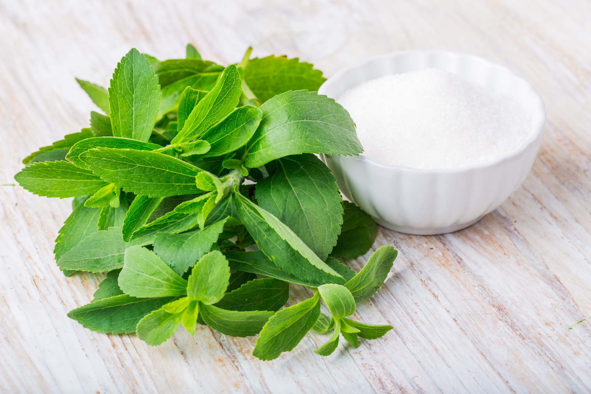 Stevia Blätter mit Schale Süssungsmittel | Manuka Honig